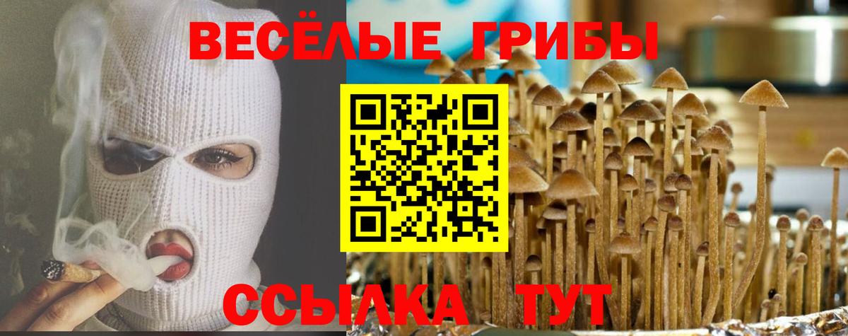 Протвино  Псилоцибиновые грибы Cubensis  купить наркотики сайты  Вход с VPN 